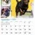 Dogs of Australia Calendar 2017 | sep.jpg