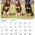 Dogs of Australia Calendar 2017 | aug.jpg