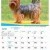 Dogs of Australia Calendar 2017 | june.jpg