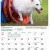 Dogs of Australia Calendar 2017 | dec.jpg