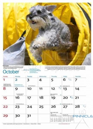 Dogs of Australia Calendar 2017 | oct.jpg