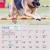 Dogs of Australia Calendar 2018 | MARCH.jpg