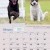 Dogs of Australia Calendar 2018 | FEB.jpg
