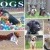 Dogs of Australia Calendar 2018 | front.jpg