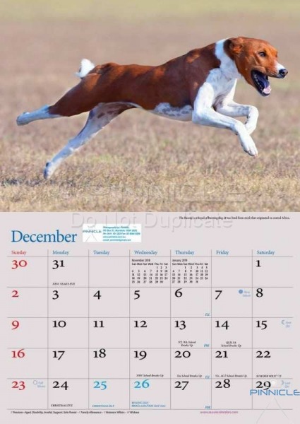 Dogs of Australia Calendar 2018 | dec.jpg