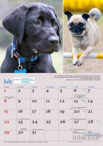 Dogs of Australia Calendar 2018 | july.jpg