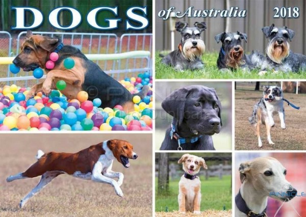 Dogs of Australia Calendar 2018 | front.jpg